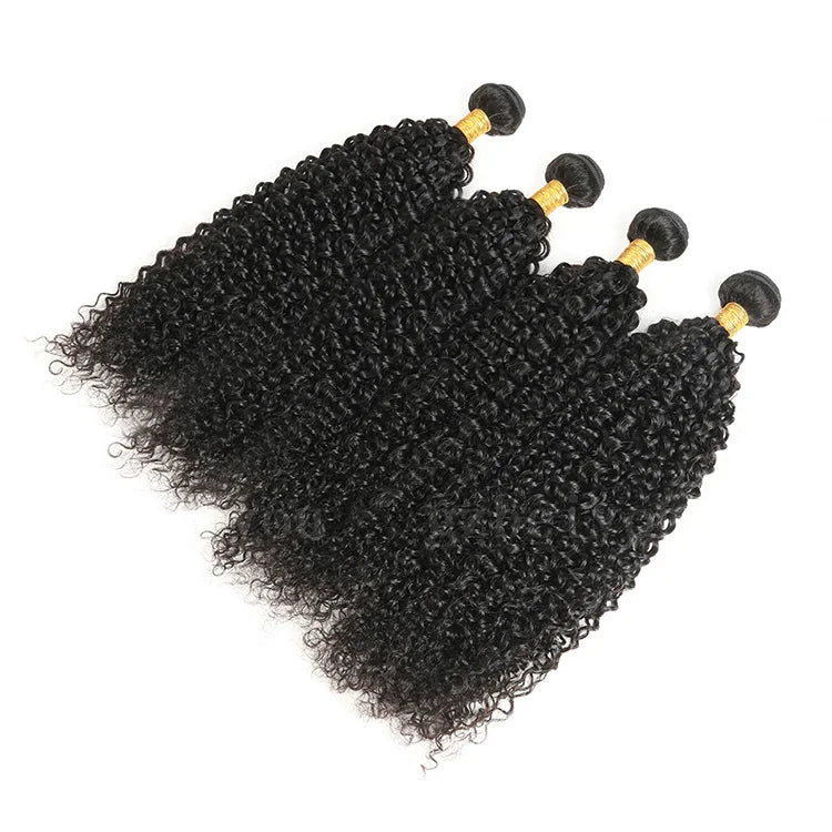 Unprocessed Wholesale Burmese Curly Hair Bundles, Cuticle Aligned Hair Weave