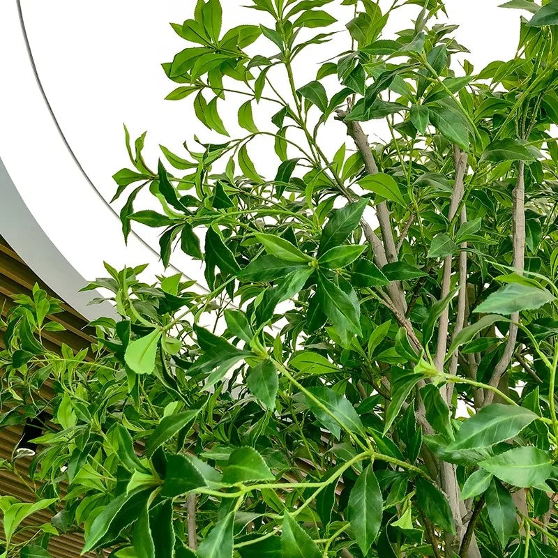 Home Hotel Decoration Green Plant Projects Customized Real Factory Fast Delivery Artificial Trees Horse dunk Tree